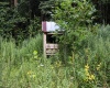 8859 George Washington Highway, Tunnelton, West Virginia 26444, ,Lots/land,For Sale,George Washington,10161762