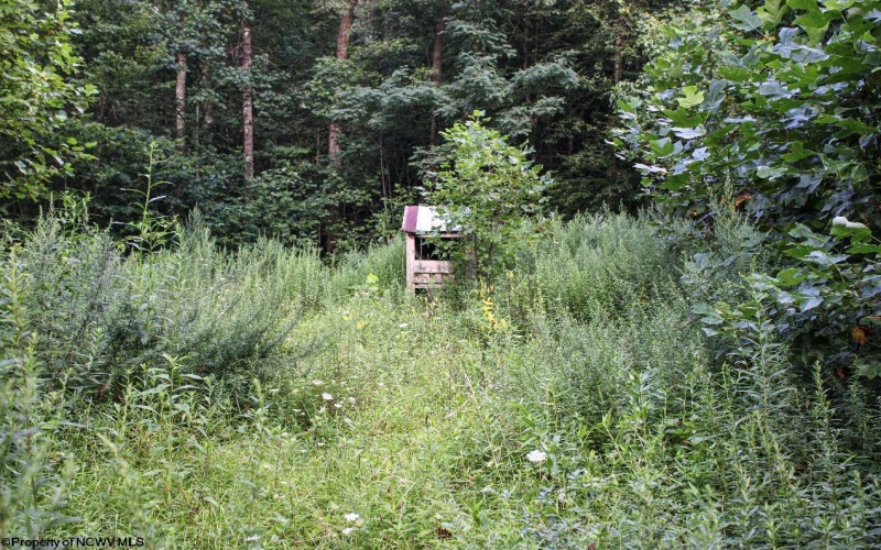 8859 George Washington Highway, Tunnelton, West Virginia 26444, ,Lots/land,For Sale,George Washington,10161762