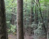 8859 George Washington Highway, Tunnelton, West Virginia 26444, ,Lots/land,For Sale,George Washington,10161762