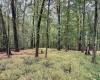 TBD Fairview Road, Farmington, West Virginia 26571, ,Lots/land,For Sale,Fairview,10161763