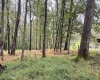 TBD Fairview Road, Farmington, West Virginia 26571, ,Lots/land,For Sale,Fairview,10161763