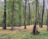 TBD Fairview Road, Farmington, West Virginia 26571, ,Lots/land,For Sale,Fairview,10161763