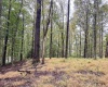TBD Fairview Road, Farmington, West Virginia 26571, ,Lots/land,For Sale,Fairview,10161763