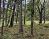 TBD Fairview Road, Farmington, West Virginia 26571, ,Lots/land,For Sale,Fairview,10161763
