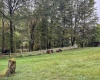 TBD Fairview Road, Farmington, West Virginia 26571, ,Lots/land,For Sale,Fairview,10161763