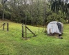 TBD Fairview Road, Farmington, West Virginia 26571, ,Lots/land,For Sale,Fairview,10161763