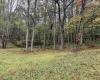 TBD Fairview Road, Farmington, West Virginia 26571, ,Lots/land,For Sale,Fairview,10161763