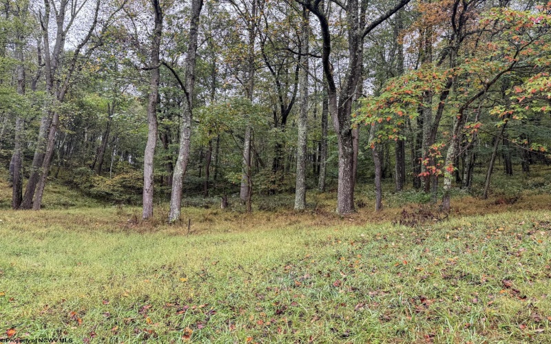 TBD Fairview Road, Farmington, West Virginia 26571, ,Lots/land,For Sale,Fairview,10161763