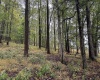 TBD Fairview Road, Farmington, West Virginia 26571, ,Lots/land,For Sale,Fairview,10161763