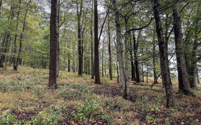 TBD Fairview Road, Farmington, West Virginia 26571, ,Lots/land,For Sale,Fairview,10161763
