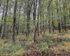 TBD Fairview Road, Farmington, West Virginia 26571, ,Lots/land,For Sale,Fairview,10161763