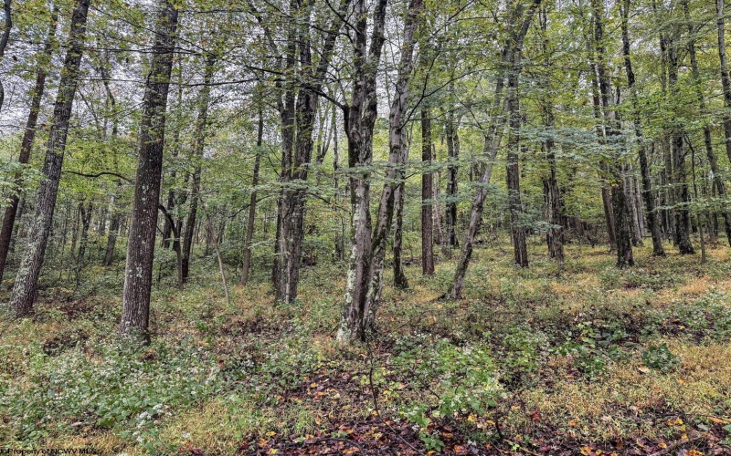 TBD Fairview Road, Farmington, West Virginia 26571, ,Lots/land,For Sale,Fairview,10161763