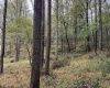 TBD Fairview Road, Farmington, West Virginia 26571, ,Lots/land,For Sale,Fairview,10161763