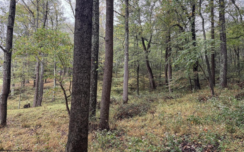 TBD Fairview Road, Farmington, West Virginia 26571, ,Lots/land,For Sale,Fairview,10161763