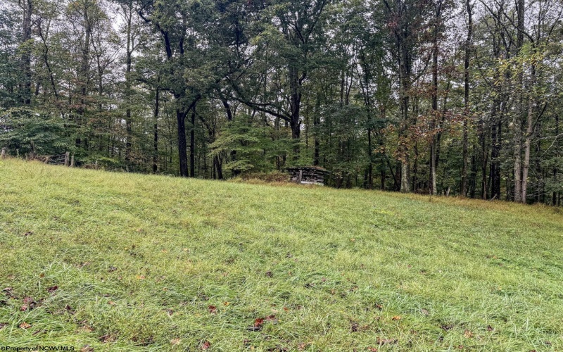 TBD Fairview Road, Farmington, West Virginia 26571, ,Lots/land,For Sale,Fairview,10161763
