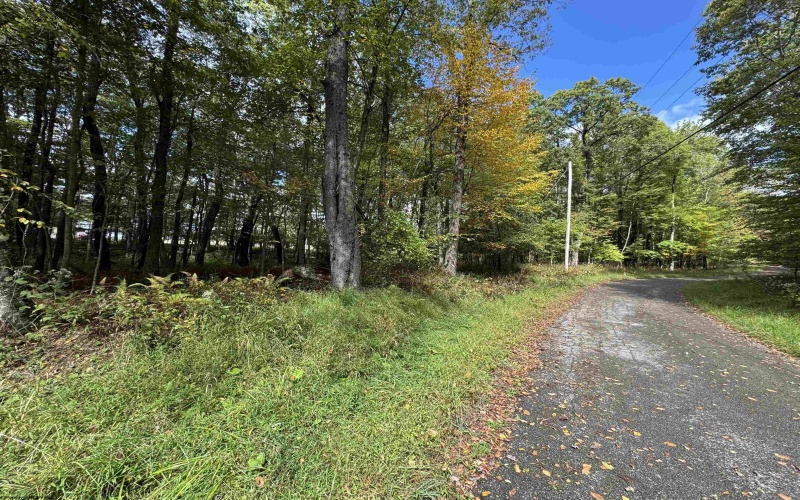 Lots 5 and 6 Dogwood Lane, Terra Alta, West Virginia 26764, ,Lots/land,For Sale,Dogwood,10161764