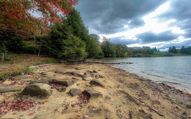 Lots 5 and 6 Dogwood Lane, Terra Alta, West Virginia 26764, ,Lots/land,For Sale,Dogwood,10161764