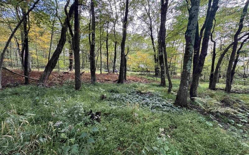 Lots 5 and 6 Dogwood Lane, Terra Alta, West Virginia 26764, ,Lots/land,For Sale,Dogwood,10161764