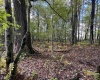 Lots 5 and 6 Dogwood Lane, Terra Alta, West Virginia 26764, ,Lots/land,For Sale,Dogwood,10161764