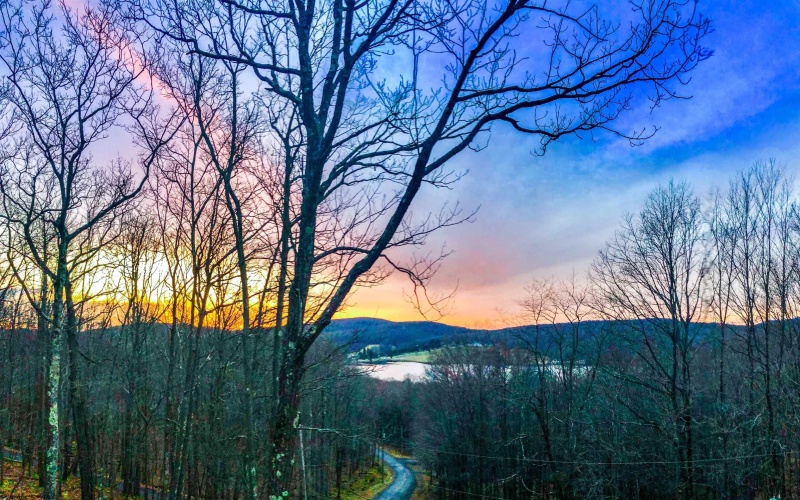 Lots 5 and 6 Dogwood Lane, Terra Alta, West Virginia 26764, ,Lots/land,For Sale,Dogwood,10161764