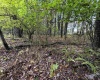 Lots 5 and 6 Dogwood Lane, Terra Alta, West Virginia 26764, ,Lots/land,For Sale,Dogwood,10161764