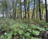 Lots 5 and 6 Dogwood Lane, Terra Alta, West Virginia 26764, ,Lots/land,For Sale,Dogwood,10161764