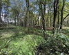 Lots 5 and 6 Dogwood Lane, Terra Alta, West Virginia 26764, ,Lots/land,For Sale,Dogwood,10161764