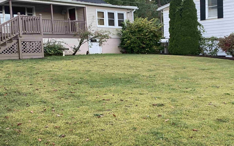 1619 Hoffman Avenue, Clarksburg, West Virginia 26301, 3 Bedrooms Bedrooms, 7 Rooms Rooms,2 BathroomsBathrooms,Single Family Detached,For Sale,Hoffman,10161760