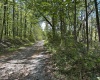 Lot 5 Crane School Road, Terra Alta, West Virginia 26764, ,Lots/land,For Sale,Crane School,10161779