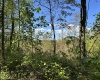 Lot 5 Crane School Road, Terra Alta, West Virginia 26764, ,Lots/land,For Sale,Crane School,10161779