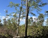 Lot 5 Crane School Road, Terra Alta, West Virginia 26764, ,Lots/land,For Sale,Crane School,10161779
