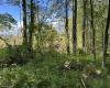 Lot 5 Crane School Road, Terra Alta, West Virginia 26764, ,Lots/land,For Sale,Crane School,10161779
