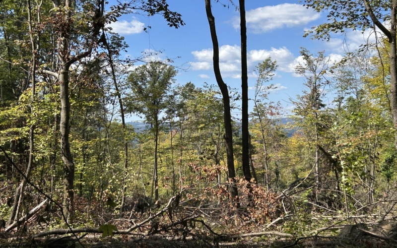 Lot 1 Crane School Road, Terra Alta, West Virginia 26764, ,Lots/land,For Sale,Crane School,10161778