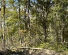 Lot 1 Crane School Road, Terra Alta, West Virginia 26764, ,Lots/land,For Sale,Crane School,10161778