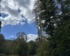 Lot 1 Crane School Road, Terra Alta, West Virginia 26764, ,Lots/land,For Sale,Crane School,10161778