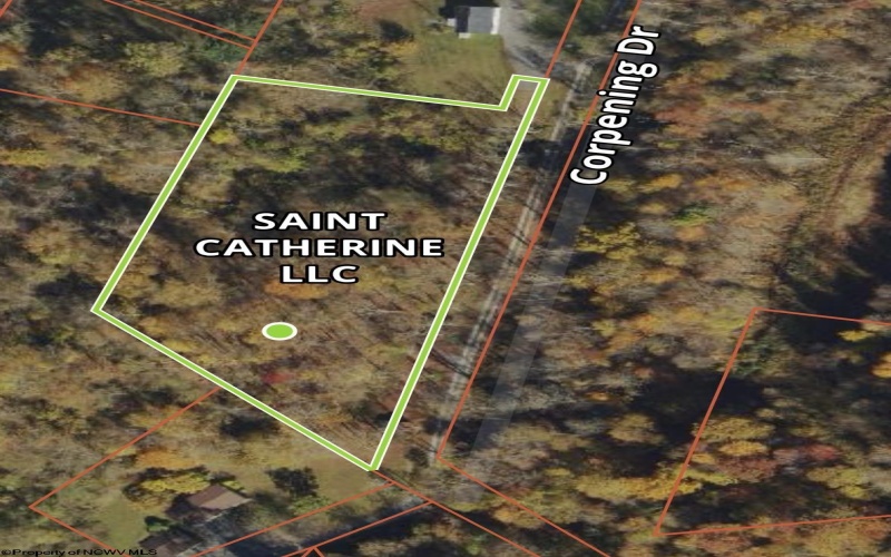 000 Corpening Drive, Bridgeport, West Virginia 26330, ,Lots/land,For Sale,Corpening,10161786