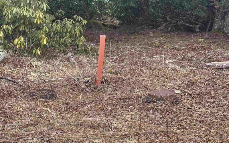 Lot 4 Medici Lane, Davis, West Virginia 26260, ,Lots/land,For Sale,Medici,10153531 Lot 4 Medici Lane, Davis, West Virginia 26260, ,Lots/land,For Sale,Medici,10153531