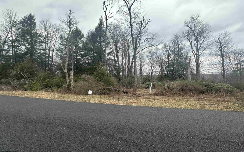 Lot 4 Medici Lane, Davis, West Virginia 26260, ,Lots/land,For Sale,Medici,10153531 Lot 4 Medici Lane, Davis, West Virginia 26260, ,Lots/land,For Sale,Medici,10153531