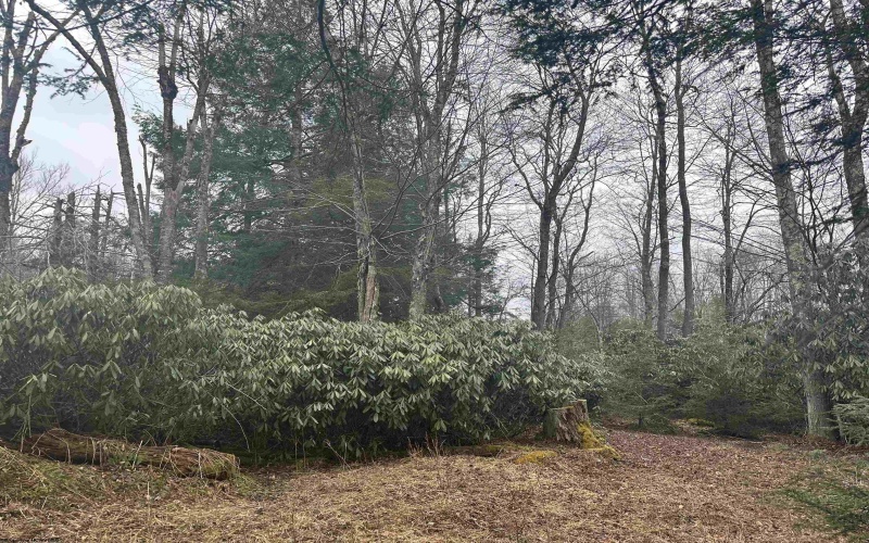 Lot 4 Medici Lane, Davis, West Virginia 26260, ,Lots/land,For Sale,Medici,10153531 Lot 4 Medici Lane, Davis, West Virginia 26260, ,Lots/land,For Sale,Medici,10153531