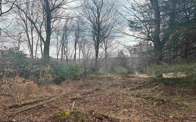 Lot 4 Medici Lane, Davis, West Virginia 26260, ,Lots/land,For Sale,Medici,10153531 Lot 4 Medici Lane, Davis, West Virginia 26260, ,Lots/land,For Sale,Medici,10153531