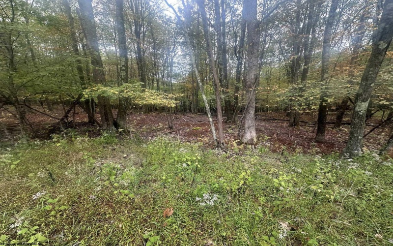 Lots 27 & 28 Alpine Drive, Terra Alta, West Virginia 26764, ,Lots/land,For Sale,Alpine,10161788