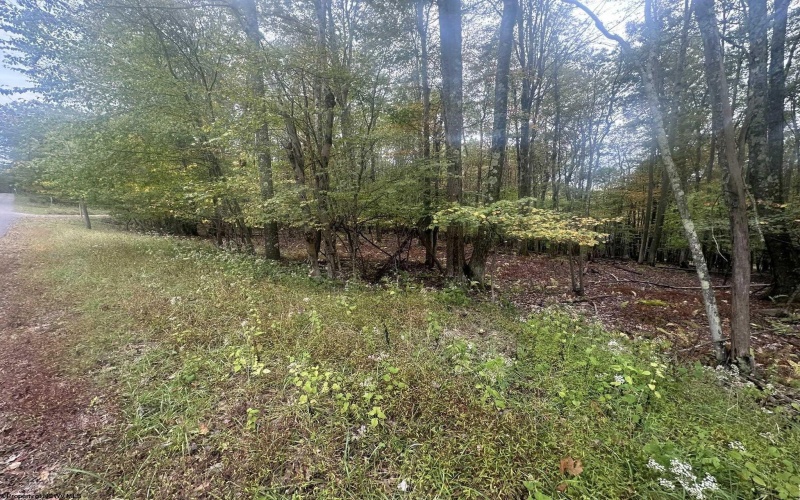 Lots 27 & 28 Alpine Drive, Terra Alta, West Virginia 26764, ,Lots/land,For Sale,Alpine,10161788