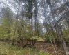 Lots 27 & 28 Alpine Drive, Terra Alta, West Virginia 26764, ,Lots/land,For Sale,Alpine,10161788