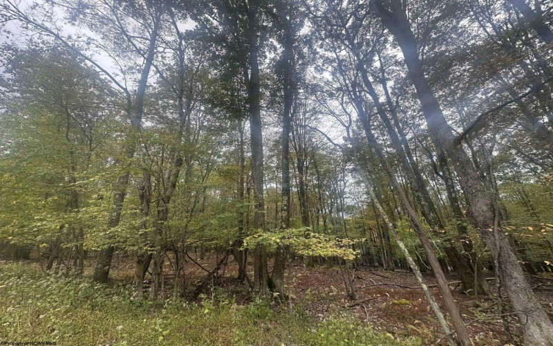 Lots 27 & 28 Alpine Drive, Terra Alta, West Virginia 26764, ,Lots/land,For Sale,Alpine,10161788