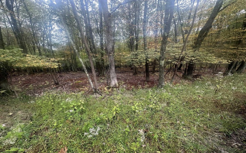 Lots 27 & 28 Alpine Drive, Terra Alta, West Virginia 26764, ,Lots/land,For Sale,Alpine,10161788
