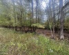 Lots 27 & 28 Alpine Drive, Terra Alta, West Virginia 26764, ,Lots/land,For Sale,Alpine,10161788