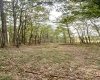 TBD Graham Lane, Terra Alta, West Virginia 26764, ,Lots/land,For Sale,Graham,10161777