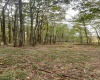 TBD Graham Lane, Terra Alta, West Virginia 26764, ,Lots/land,For Sale,Graham,10161777