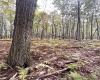 TBD Graham Lane, Terra Alta, West Virginia 26764, ,Lots/land,For Sale,Graham,10161777