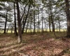 TBD Graham Lane, Terra Alta, West Virginia 26764, ,Lots/land,For Sale,Graham,10161777